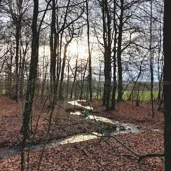 Réserve naturelle des Deux-Ourthes