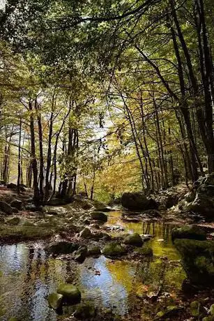 Photo de Parco Naturale di Montioni