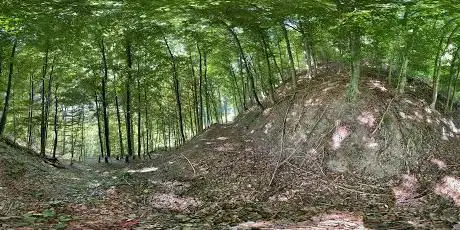 Ruine Ryffliburg