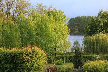 Photo de le jardin d'Alkinoos