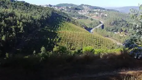 Trilhos da Amieira - Circuito Permanente de Trail