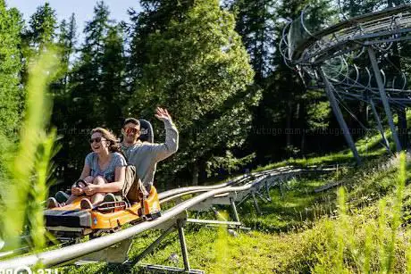 Photo de Sledge Orrian Express