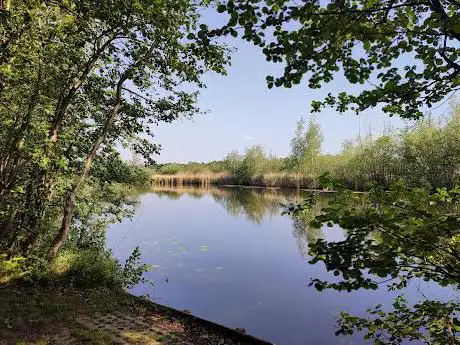Natuurrecreatiegebied Dekshoevevijver
