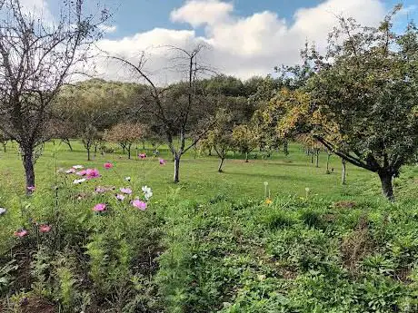 Arboretum de Coudun/Giraumont