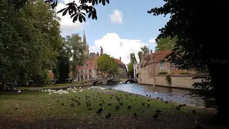 Wijngaardplein