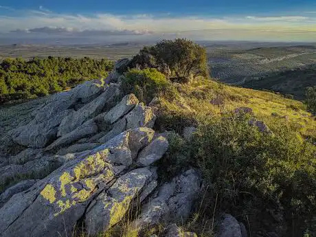 Photo de Cortijo Fuente de la Zarza