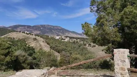 Photo de Mirador de la Vega de Granada
