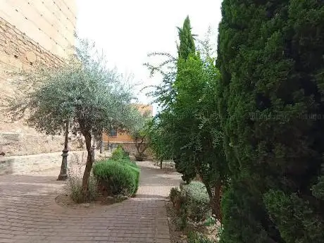Photo de Olivar de la juderÃ­a