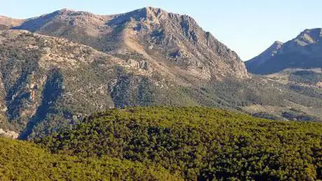 Photo de Mirador del Campanario