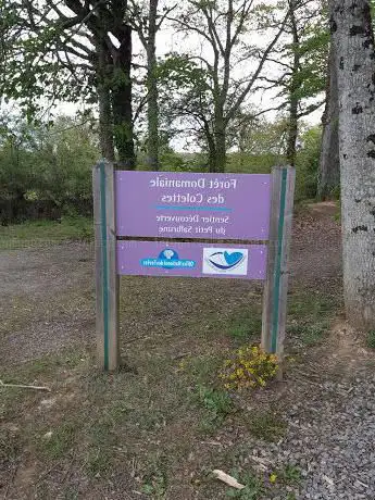 Photo de Parcours permanent d'orientation