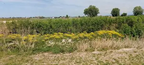 Ciclabile fiume Montone