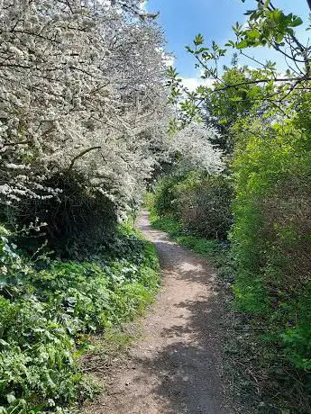 Photo de Belmont Trail