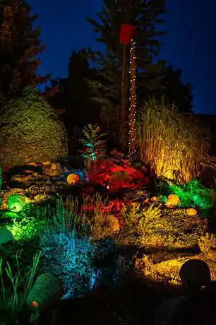 Photo de Lichtfeesten Reet