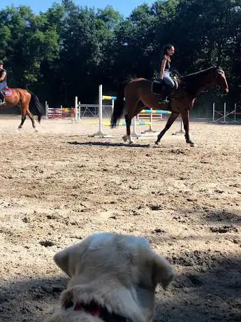 Photo de JUMP CIRCOLO IPPICO DELLA BRIANZA ASD