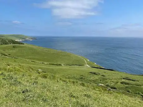 Photo de Dorset Safari