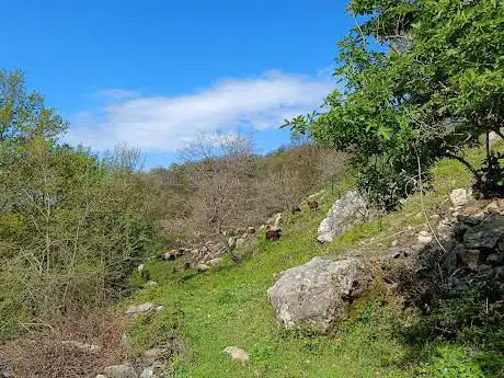 Photo de Riserva Naturale Pescinello