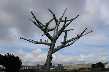 Photo de L'Arbre empathique