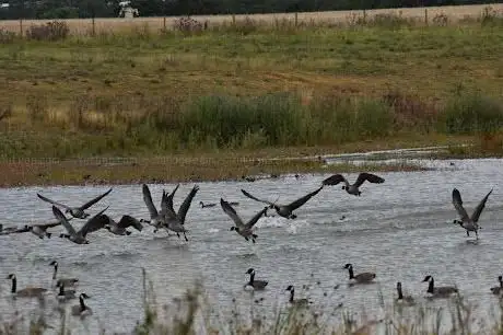 Photo de Broomhill Flash Nature Reserve