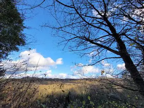 Photo de Llynclys Common Nature Reserve