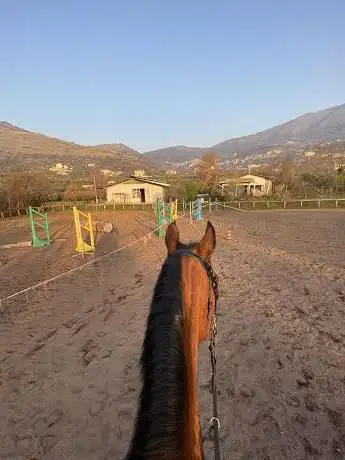 Photo de Centro Equestre Villa Mary
