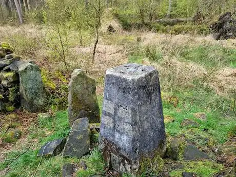 Farley Moor