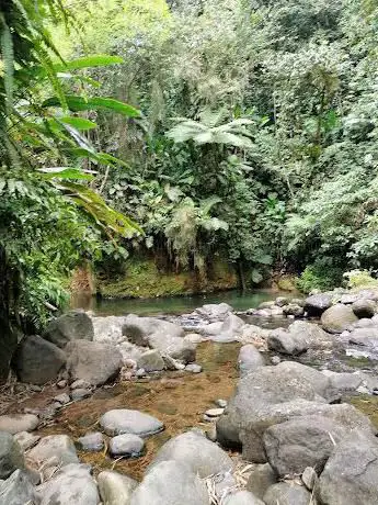 Randonnée Martinique
