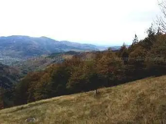Point de vue