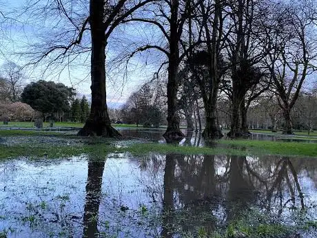 Coopers Field