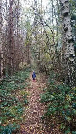 Photo de Roughton Moor Wood