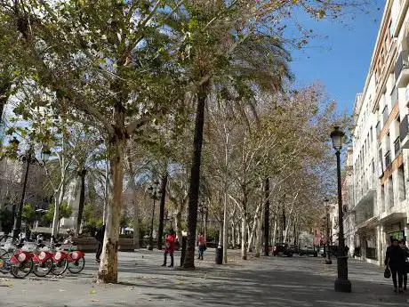 Photo de Ayuntamiento de Sevilla Centro de Información Juvenil