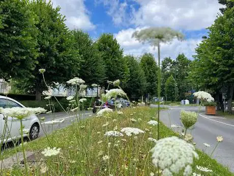 Jardins fleuris