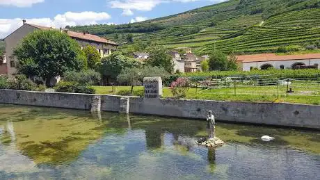 Photo de Risorgive fiume Tramigna