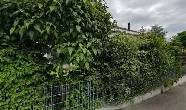 Birsbrücklein
