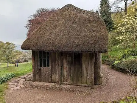 The Bear's Hut