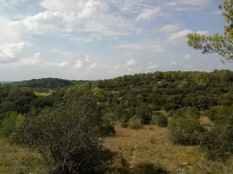 Photo de Domaine d'Escattes