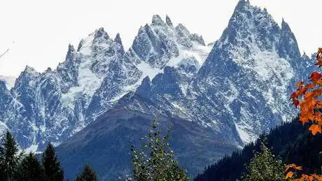 Bois du Paradis