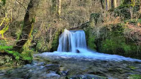 Photo de Source de Briseux