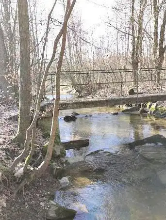 Burgerwald