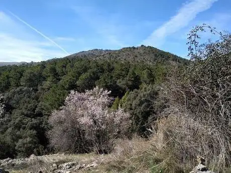 Photo de Cañada del Sereno