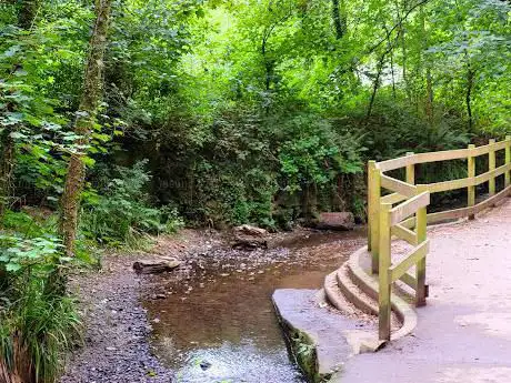 Ham Woods Local Nature Reserve