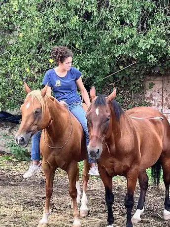 Photo de Penzolina Ranch