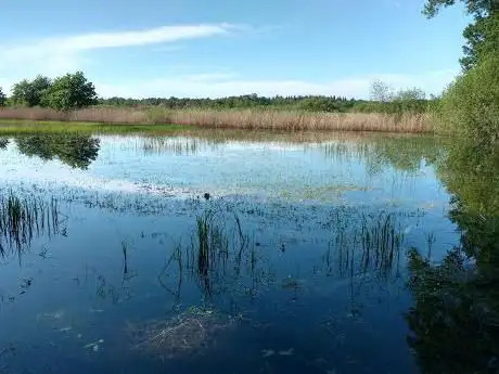 Het Wik