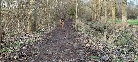 Wandelknooppunt 87