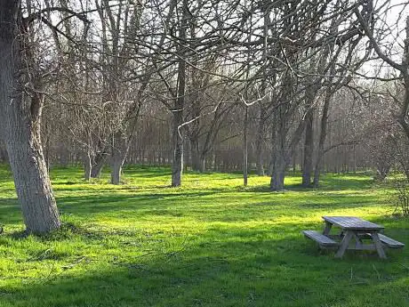 Photo de Arcadia Bosco multifunzionale