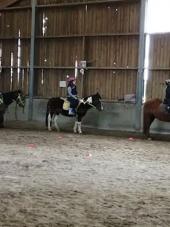Photo de Ferme Equestre Du Marais Noir