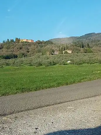 Photo de Azienda Agricola Le Cannucce Di Naldini Guido