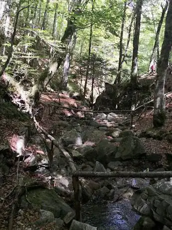 Photo de Bosco delle Fate