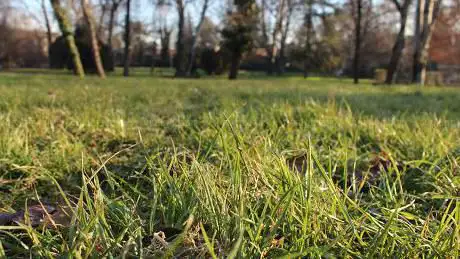 Photo de Parco Del Sagittario
