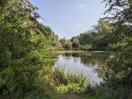 Photo de Regional Park