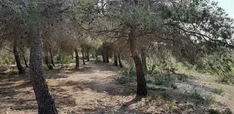Photo de RUTA LA MOLA